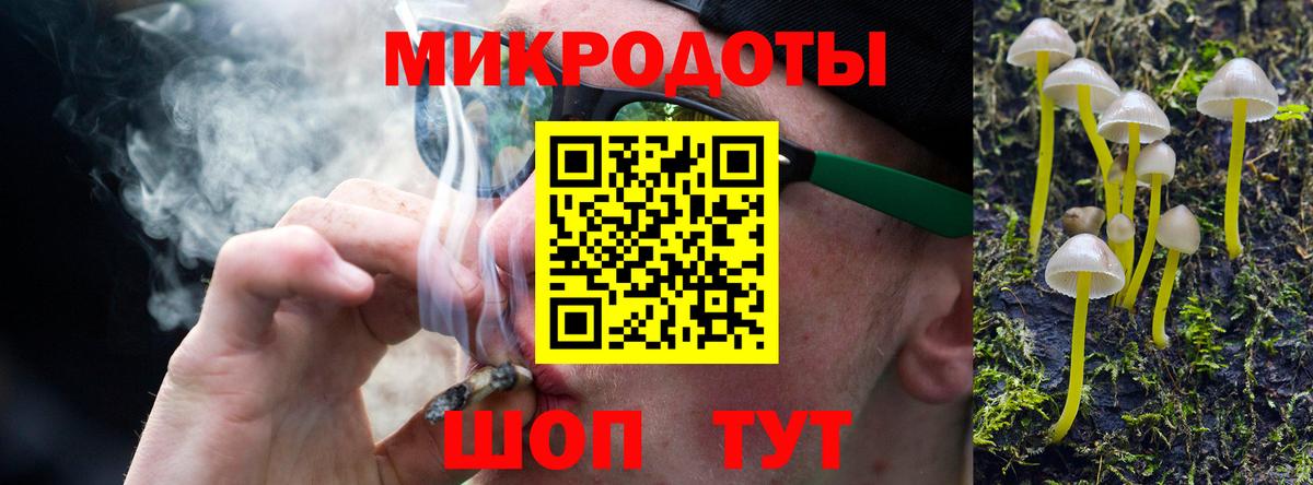 Галлюциногенные грибы Cubensis Звенигород